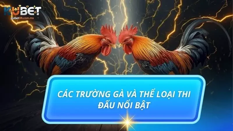 Điểm qua các loại hình cược đá gà hiện có tại sân chơi uy tín