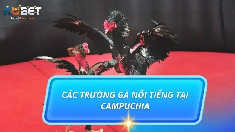 Điểm danh top các sới gà cực nổi bật tại quốc gia Campuchia