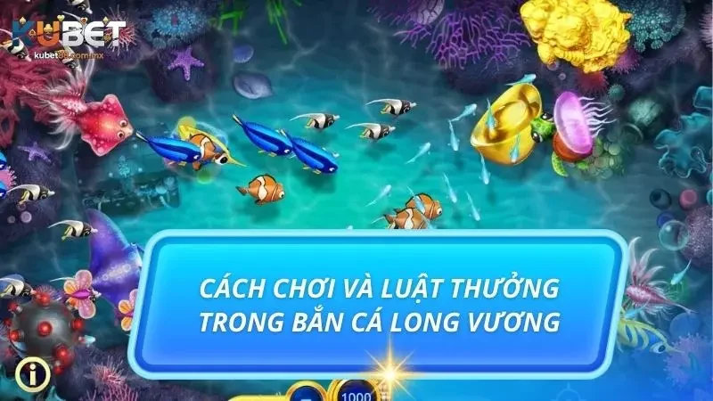 Luật quy định vấn đề thưởng cụ thể và rất rõ ràng