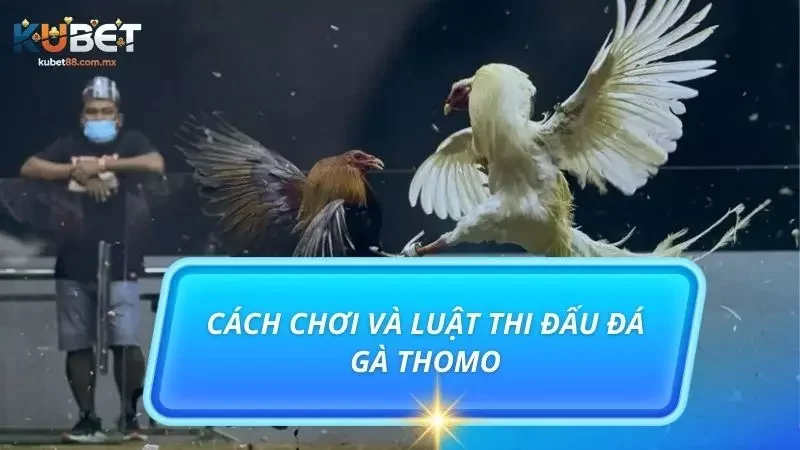 Tìm hiểu chi tiết về cách tham gia trò đá gà cực ưa chuộng