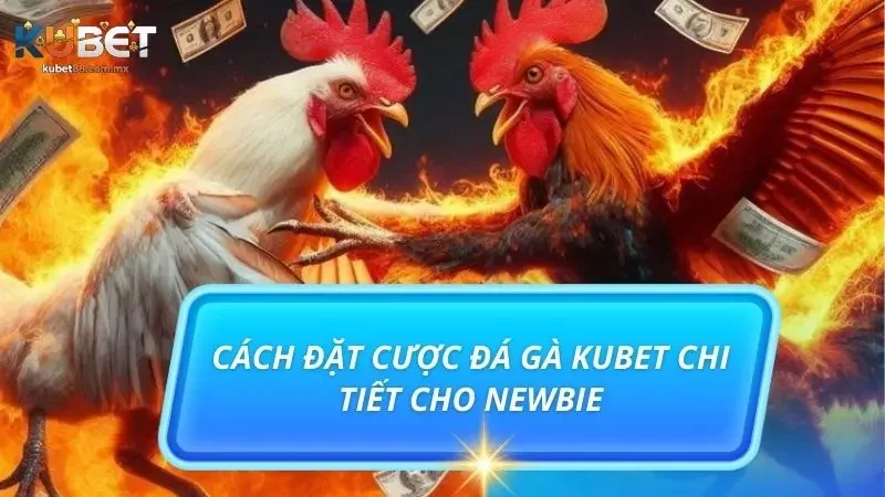 Hướng dẫn chi tiết cách đặt cược đá gà dành cho newbie