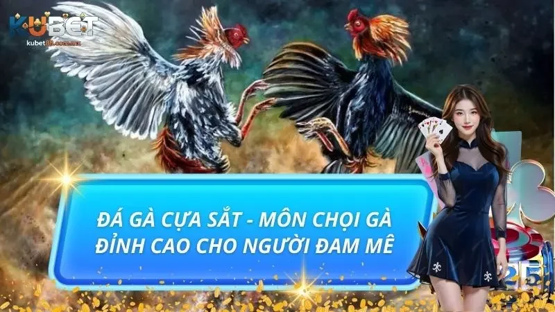 Đá Gà Cựa Sắt - Môn Chọi Gà Đỉnh Cao Cho Người Đam Mê