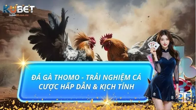 Đá Gà Thomo - Trải Nghiệm Cá Cược Hấp Dẫn & Kịch Tính