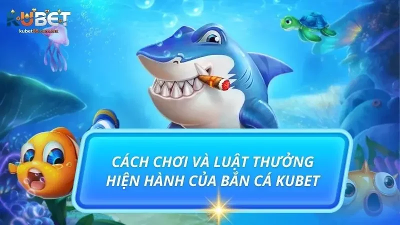 Những điều newbie cần thuộc lòng trước khi săn cá