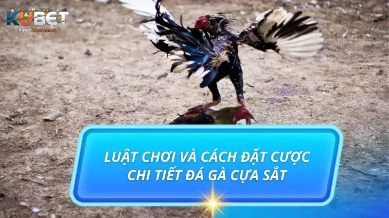 Nắm rõ luật chơi thì bạn đó có 60% tỷ lệ thắng