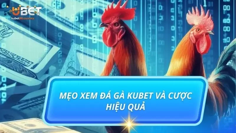 Bật mí top 3 mẹo cược đá gà tại sân chơi đầy uy tín