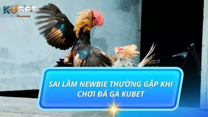 Một vài sai lầm cơ bản newbie nhất định cần tránh gặp