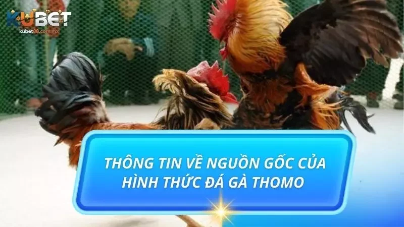 Sơ lược thông tin về trò chơi đá gà cực hấp dẫn hiện nay