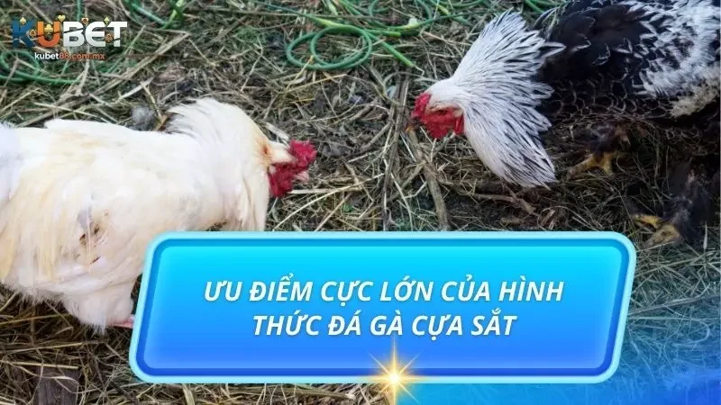 Khám phá tổng quan các thế mạnh cực lớn của trò chơi